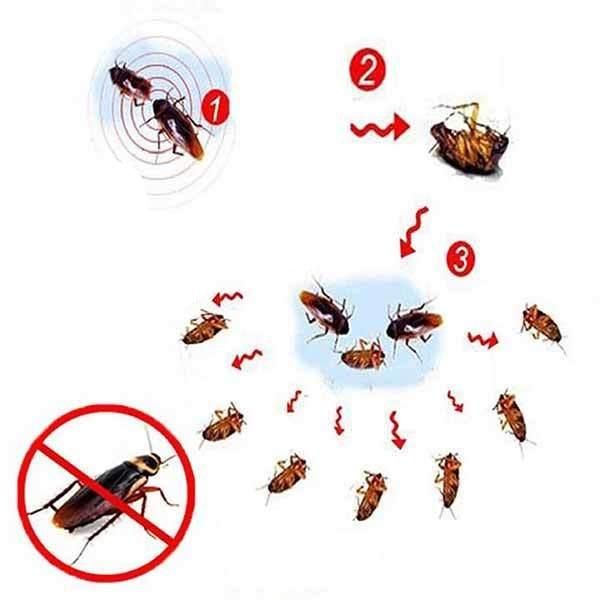 EXTERMINIQ – 3 unidades de cebo en gel para cucarachas (10g) para el control efectivo de plagas