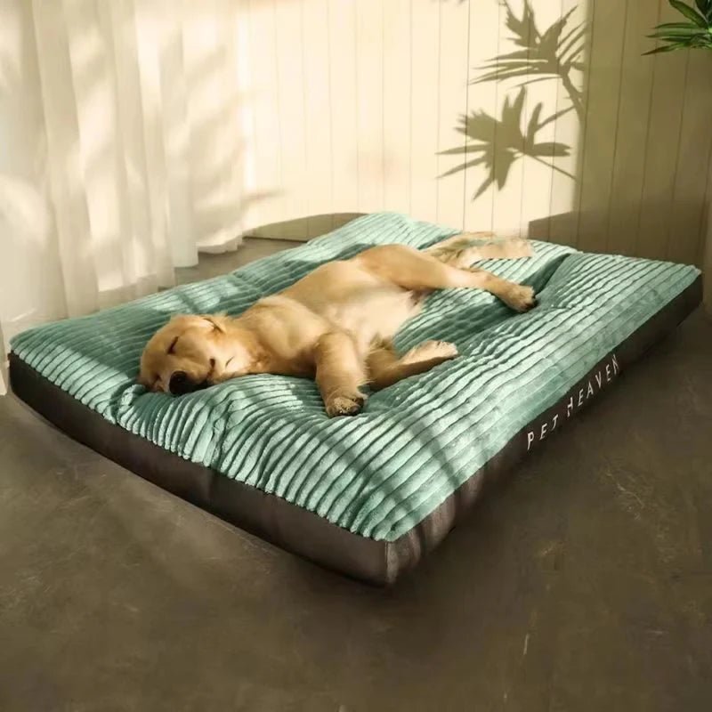PawRest – Cama ortopédica para perros con soporte y comodidad óptimos