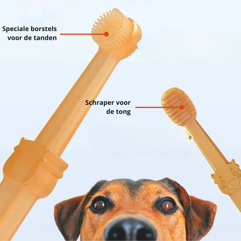 DoggyDent - Professionelle Zahnbürste für Hunde-4
