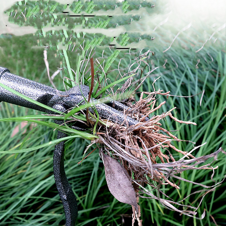 Claw weed remover - Robust garden tool