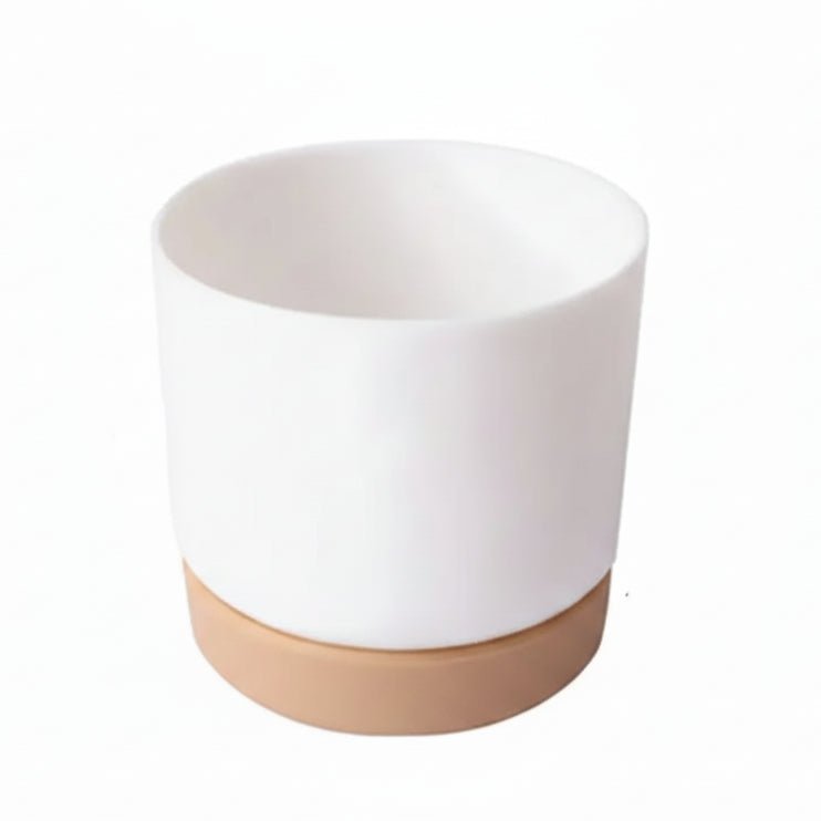 BOTANICAIR – Intelligenter, selbstbewässernder Blumentopf für Zimmer- und Büropflanzen 6