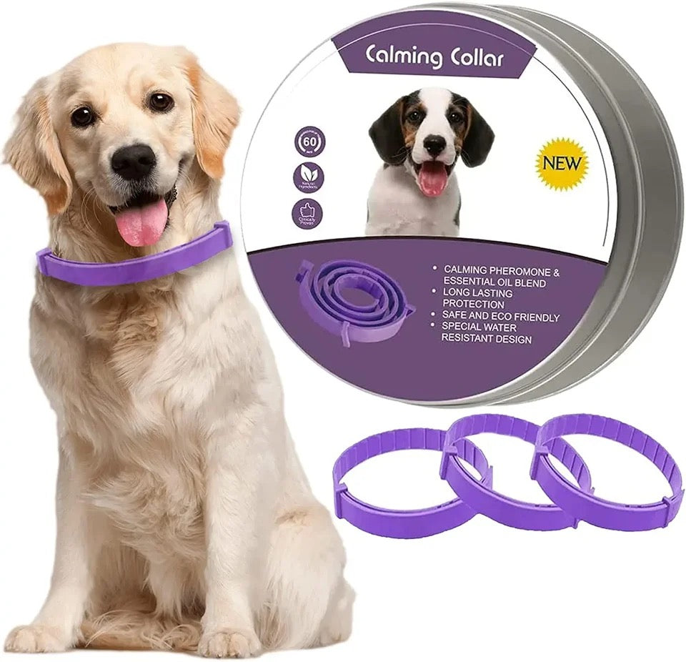 CALMDOG – Collar calmante con feromonas para perros relajados