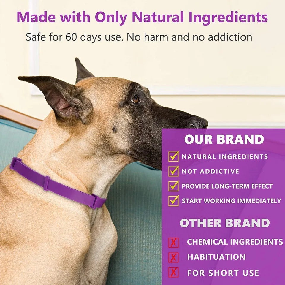 CALMDOG – Collar calmante con feromonas para perros relajados