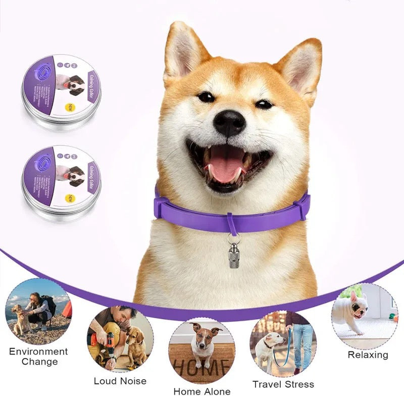 CALMDOG – Collar calmante con feromonas para perros relajados