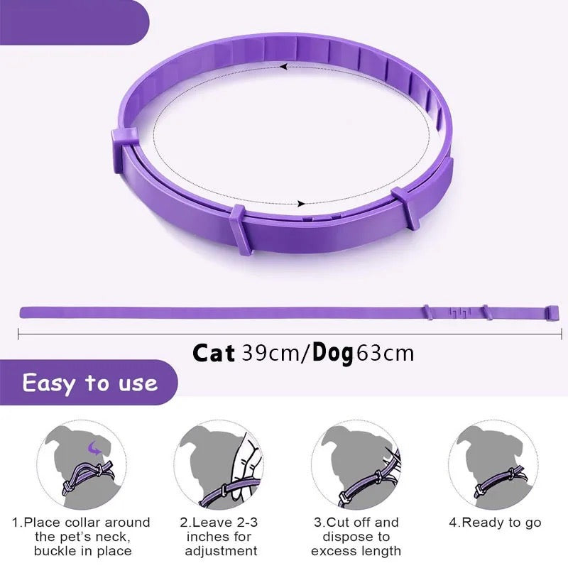 CALMDOG – Collar calmante con feromonas para perros relajados