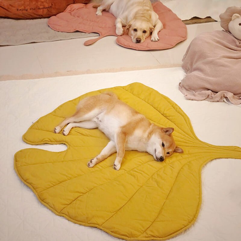 LeafPaws Blanket - Stylish dog blanket in leaf shape with soft padding & versatile use
