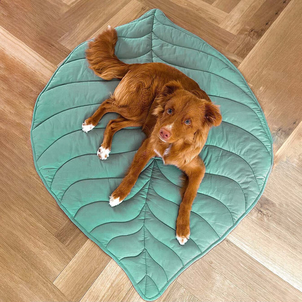 LeafPaws Blanket - Stylish dog blanket in leaf shape with soft padding & versatile use