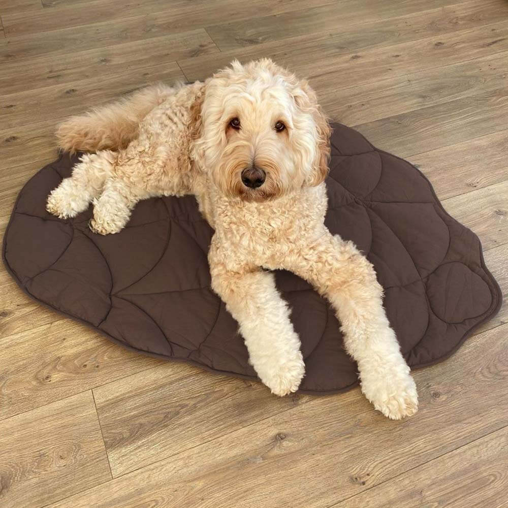 LeafPaws Blanket - Stylish dog blanket in leaf shape with soft padding & versatile use