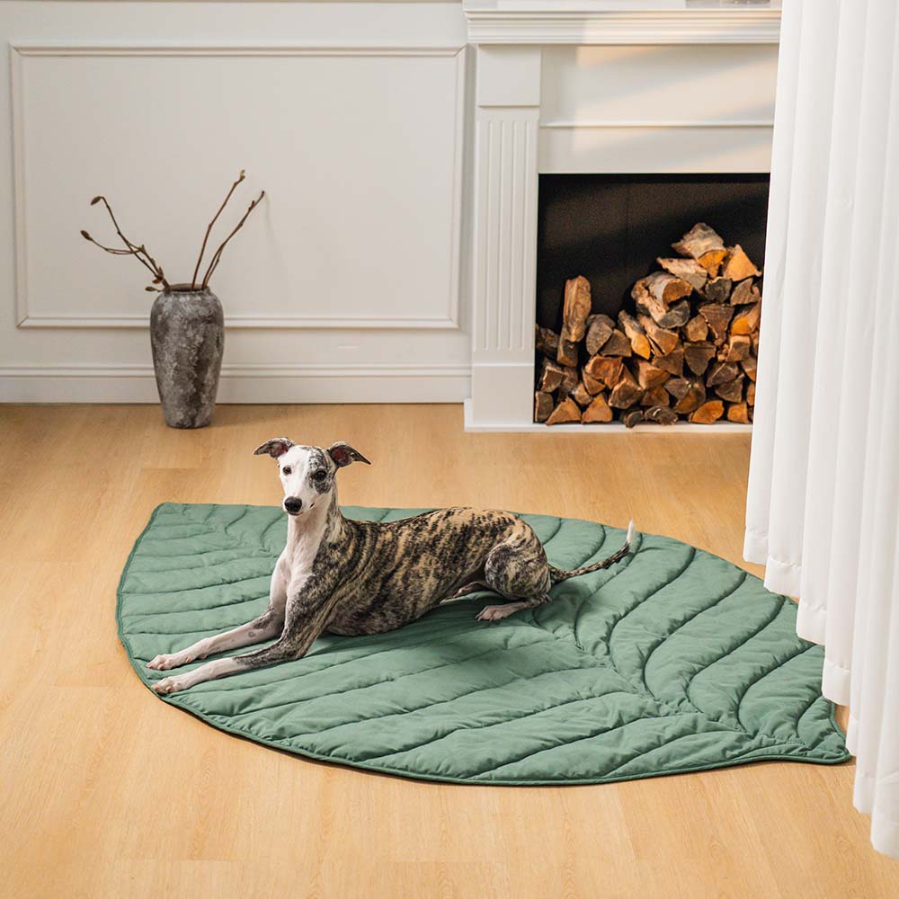LeafPaws Blanket - Stylish dog blanket in leaf shape with soft padding & versatile use