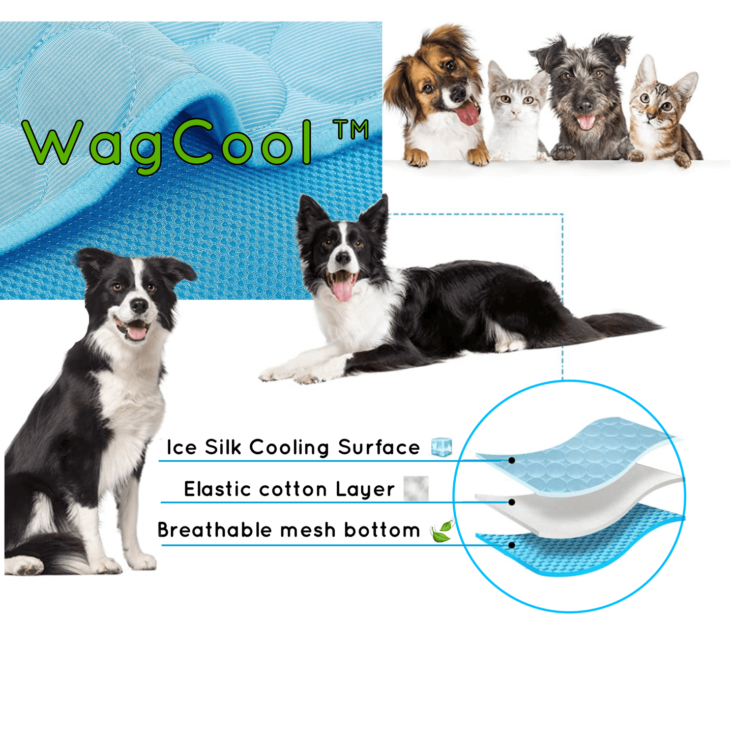 CoolPet Mat – Alfombrilla refrescante para perros para un alivio y comodidad inmediatos