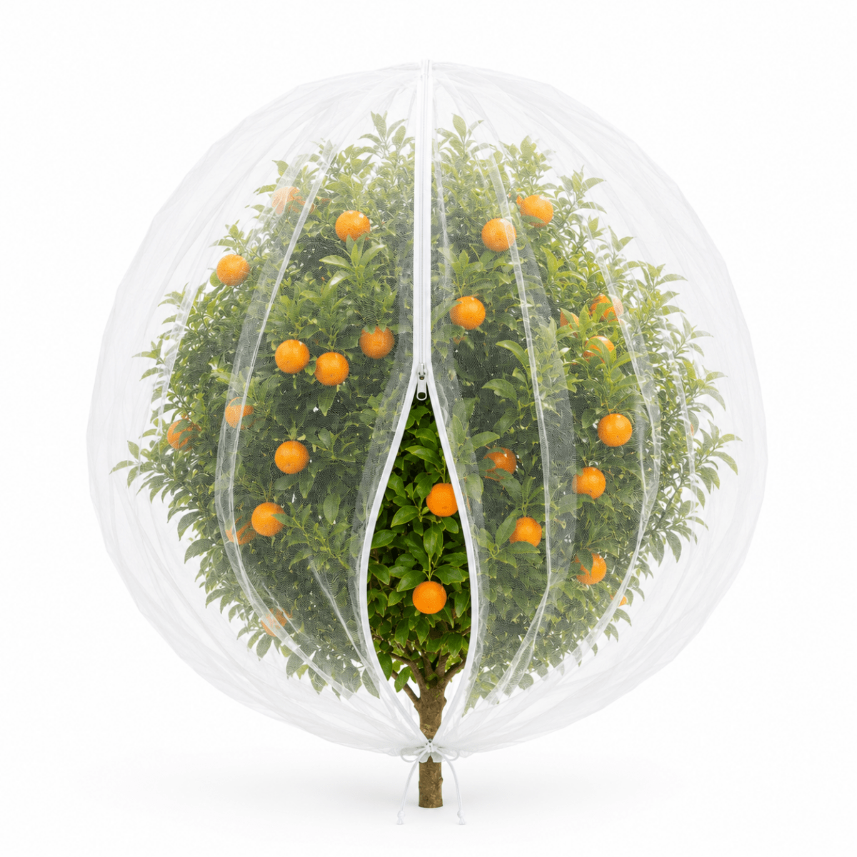 FRUITVEIL – Drawstring protective bags for fruit trees