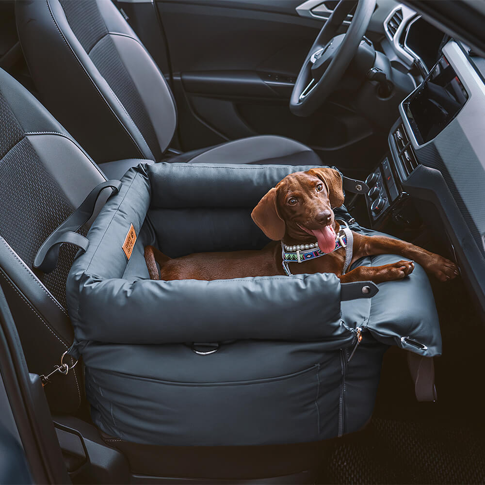 Pawluxury - Luxushundwerkzeuge für bequeme Autofahrten-4
