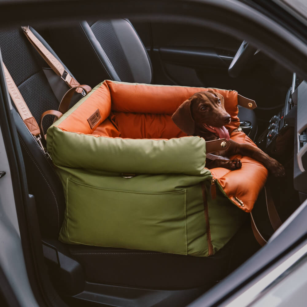 Pawluxury - Luxushundwerkzeuge für bequeme Autofahrten-3