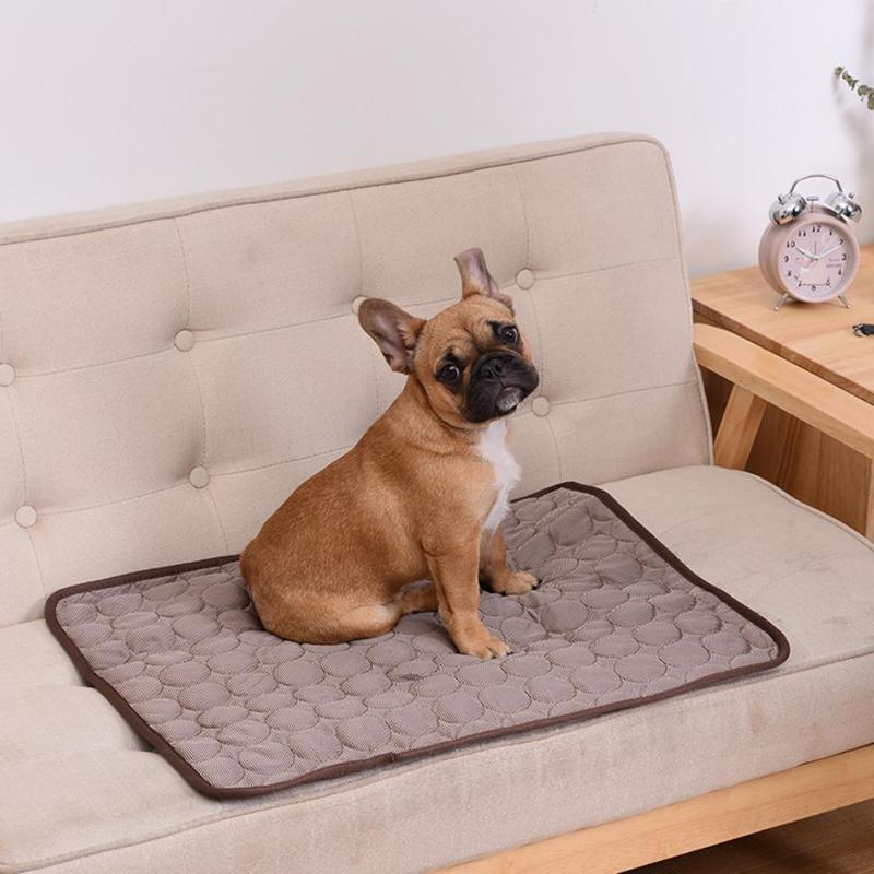DogCool Mat - Self-cooling dog mat to prevent overheating in summer