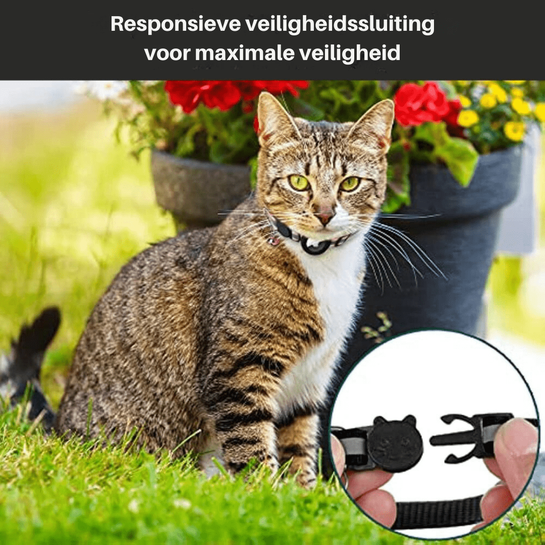 CATSAFE TRACK - GPS tracker collar for safety & visibility for cats