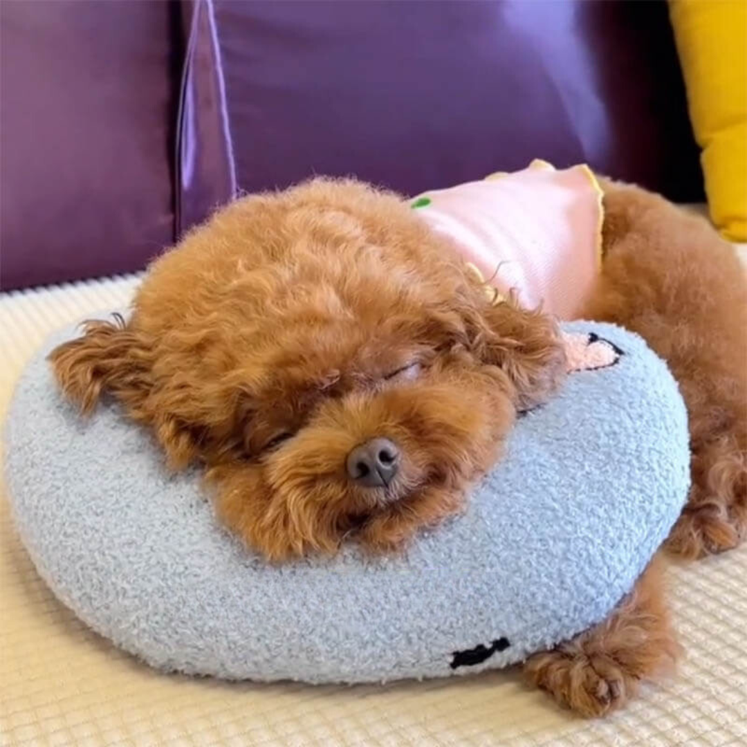 Petease Luxus - orthopädisches Hundkissen für Komfort-2