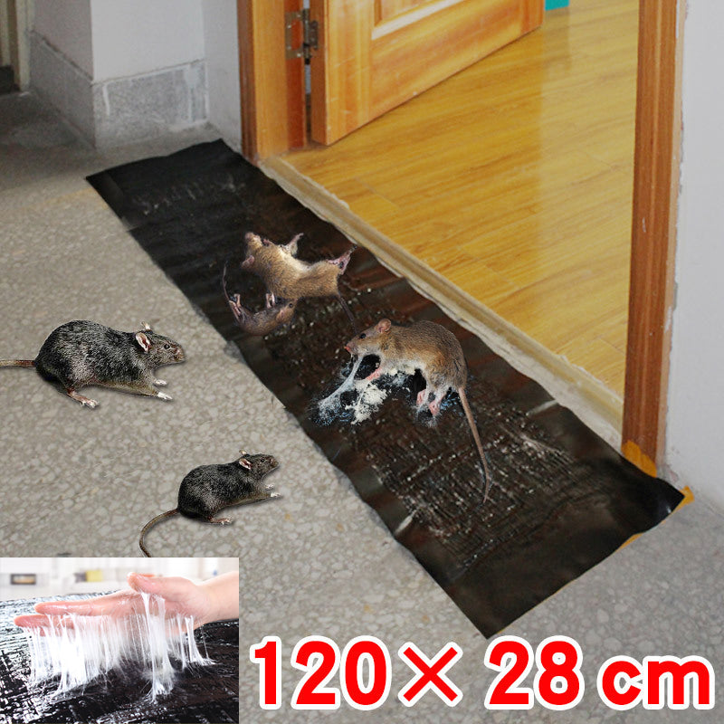 TRAPZONE MAX - Large non-toxic sticky trap for effective pest control