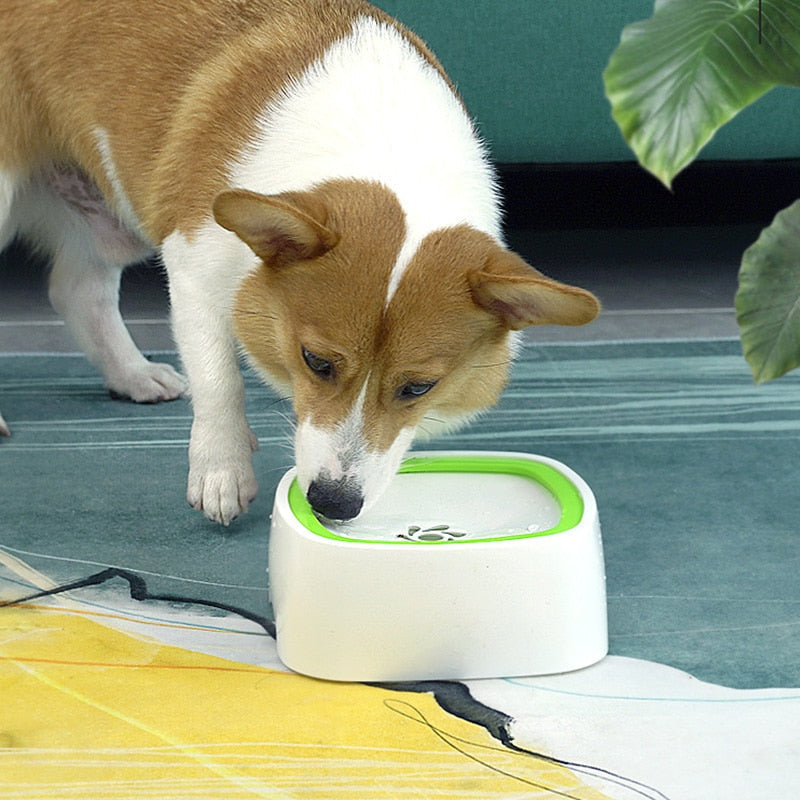 Pet Splash Bowl - Automatischer Wasserbrunnen für Haustiere-3