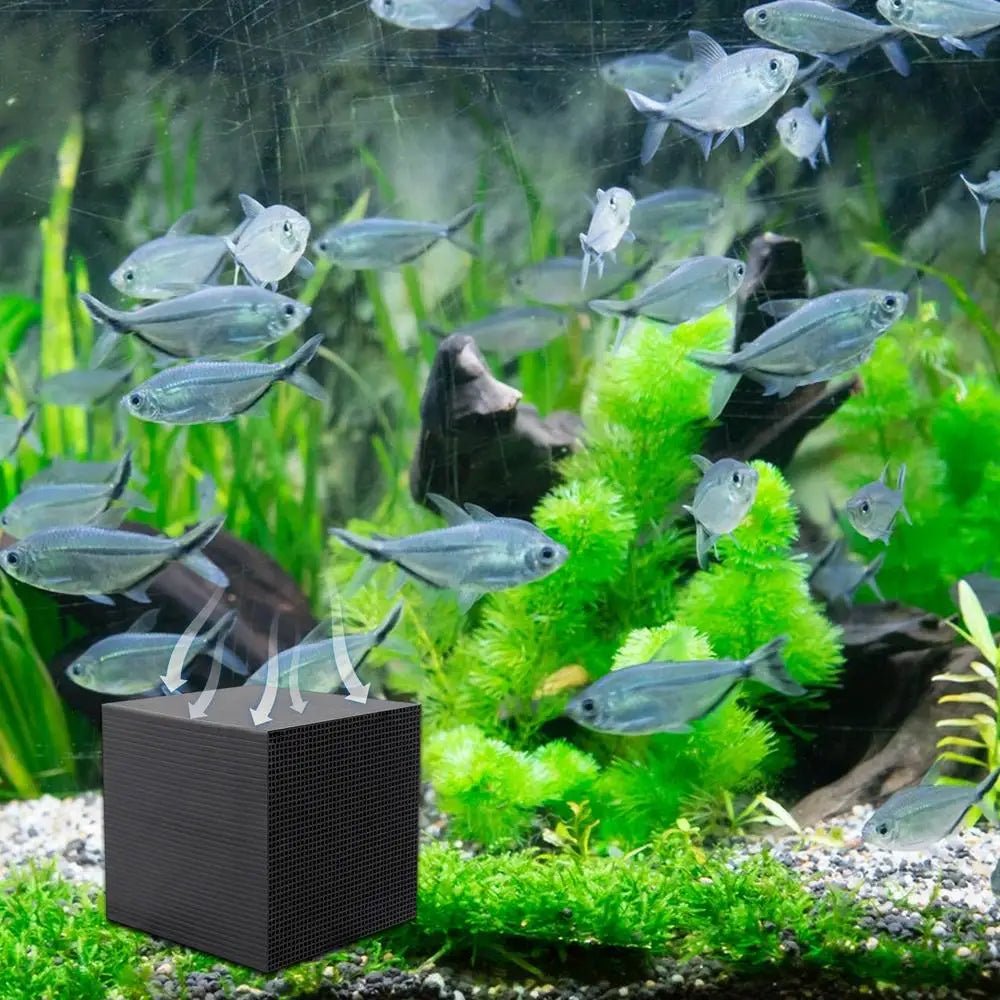 HYDROCUBE – Natürlicher Wasserreiniger mit Biofiltration für Nutztiere und landwirtschaftliche Betriebe 6