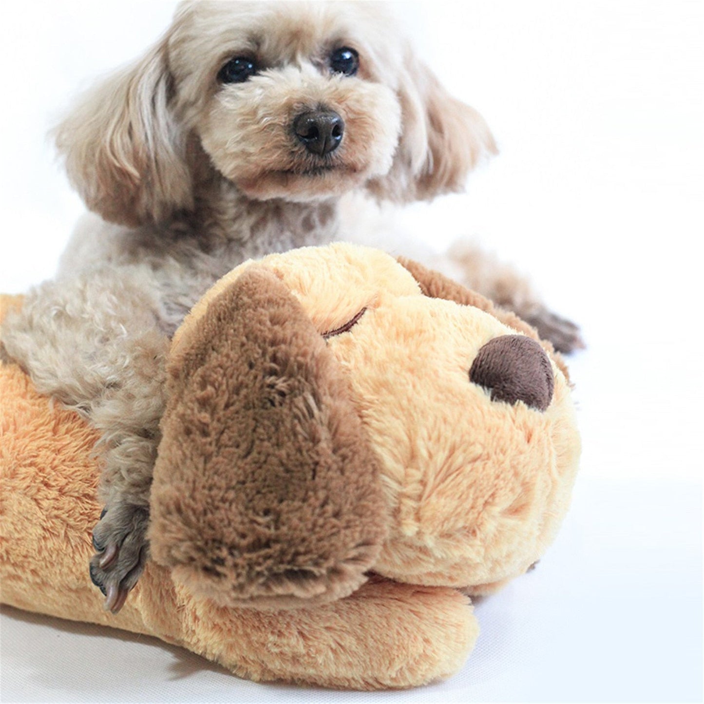 Cuddlepup - bequemer Spielkameraden für Hunde-3