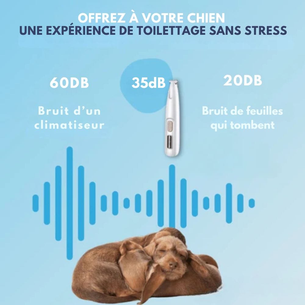 SilentPet Cortapelos – Cortador silencioso para perros para patas limpias y zonas sensibles