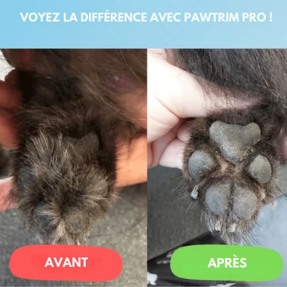 SilentPet Cortapelos – Cortador silencioso para perros para patas limpias y zonas sensibles