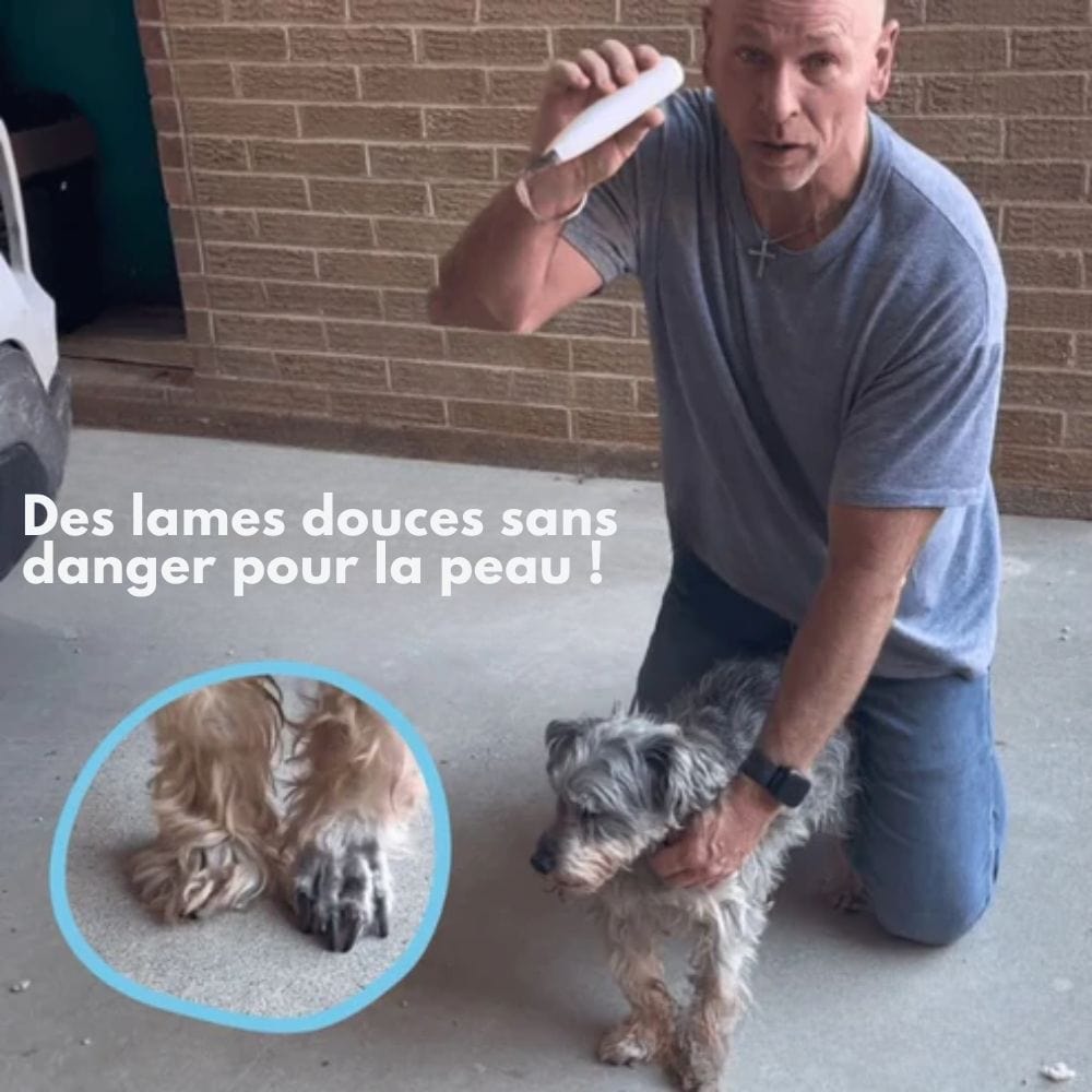 SilentPet Cortapelos – Cortador silencioso para perros para patas limpias y zonas sensibles