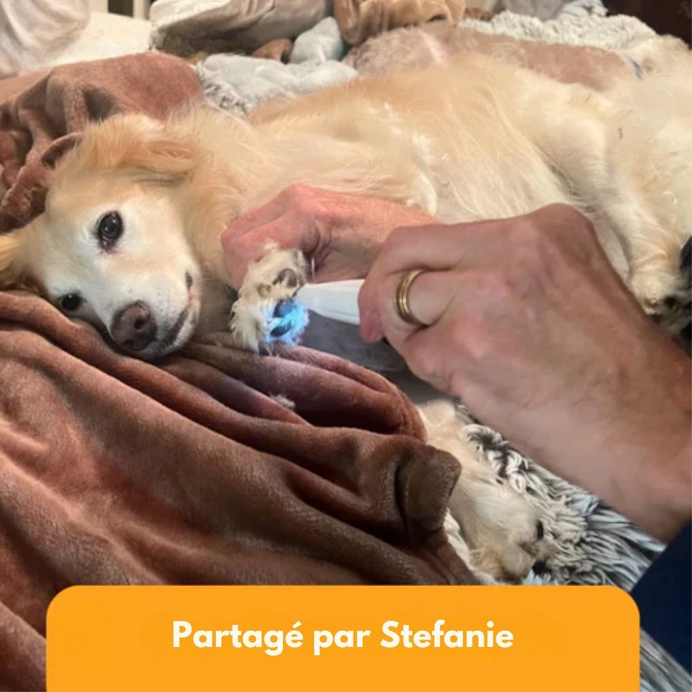 SilentPet Cortapelos – Cortador silencioso para perros para patas limpias y zonas sensibles