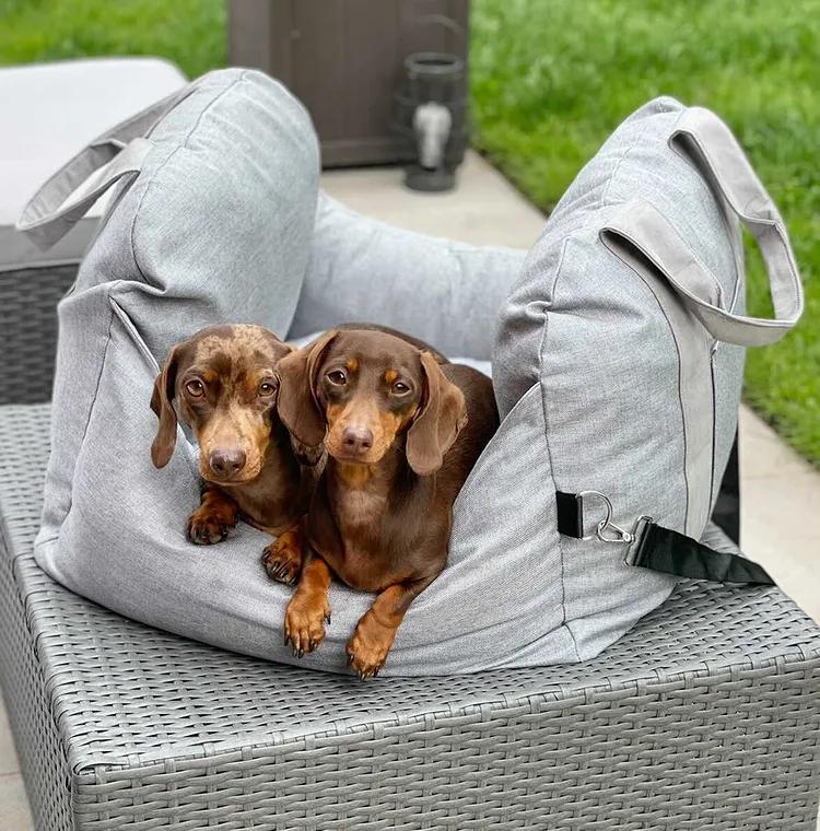 ComfyRide Cama Asiento para Perro – Cama Asiento para Perro con Cinturón de Seguridad y Suelo Antideslizante para Coche y Hogar