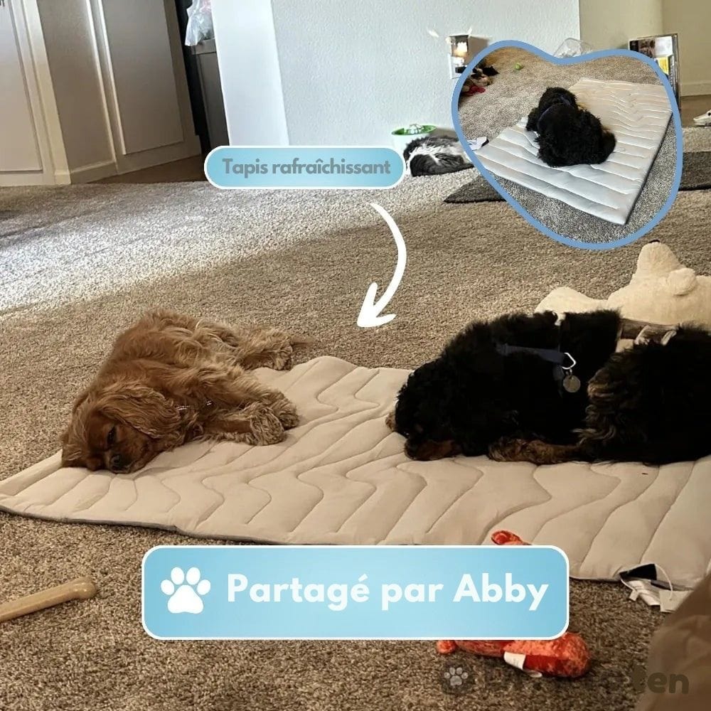 CoolPaws cooling mat - Self-cooling dog rug for hot summer days