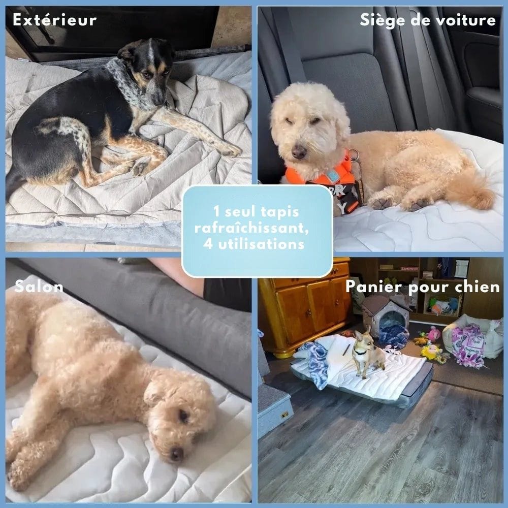 CoolPaws cooling mat - Self-cooling dog rug for hot summer days