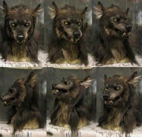 MOONHOWL – Realistic Werewolf Mask for Halloween & Cosplay