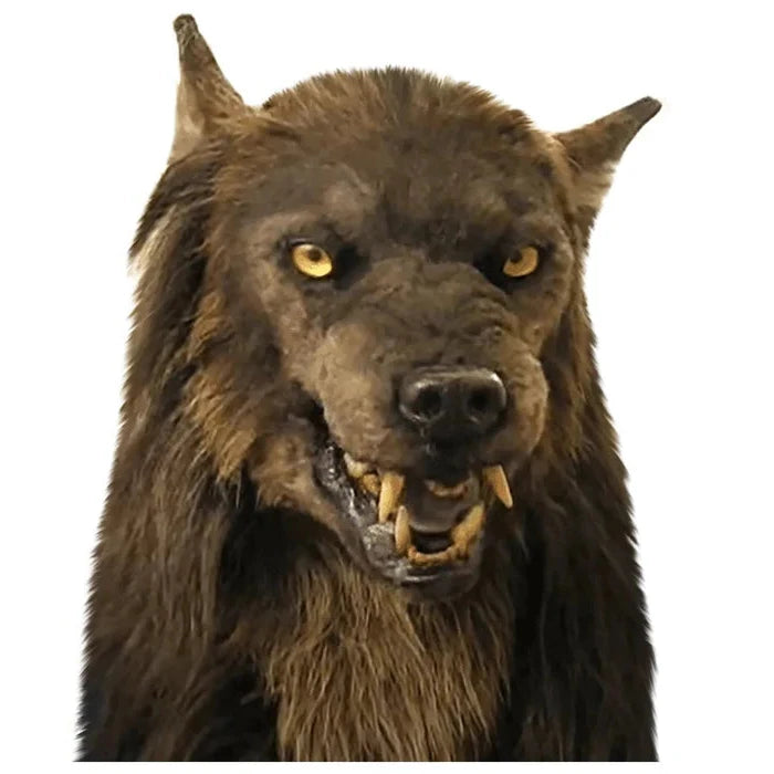 MOONHOWL – Realistic Werewolf Mask for Halloween & Cosplay