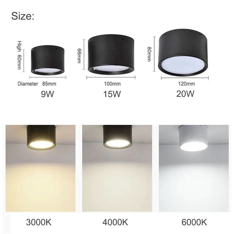 NordicGlow – Moderne LED Plafondlamp in Zwart & Wit