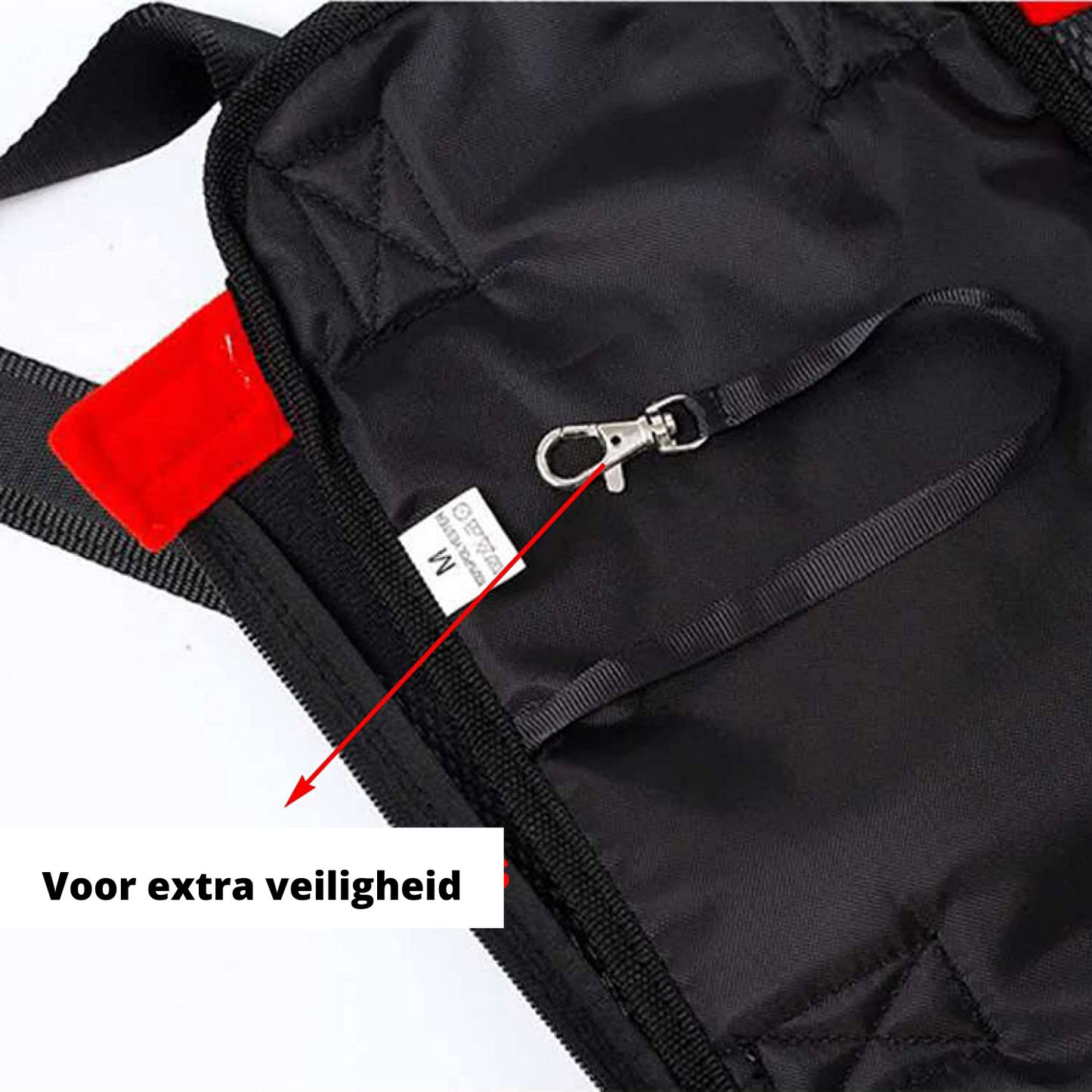 Petcarrier - bequeme Tragenbeutel für lange Reisen-4
