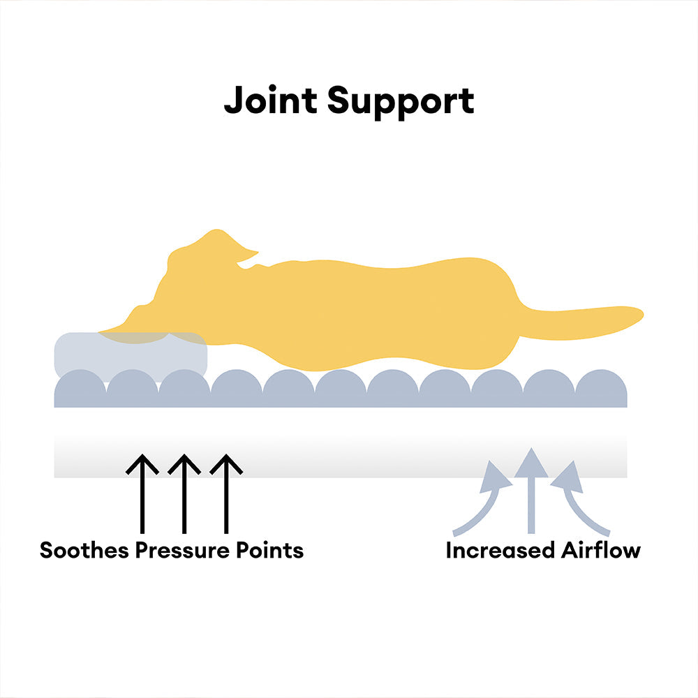 Snoozy Dream - Orthopaedic dog cushion with neck support & fluffy comfort