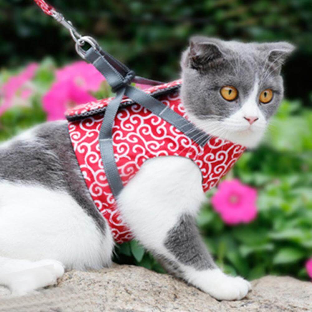 PAWVENTURE – Chaleco arnés para gatos para seguridad y comodidad