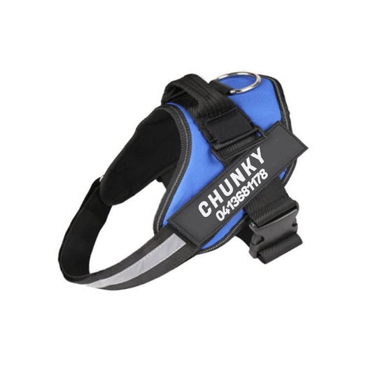 DOGSAFE HARNESS - Personalisable dog harness for comfort & safety
