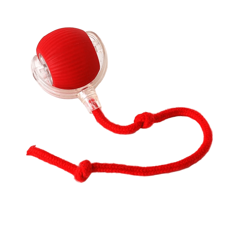 PlayPet Interactive Dog Ball - Rechargeable Bouncing Ball