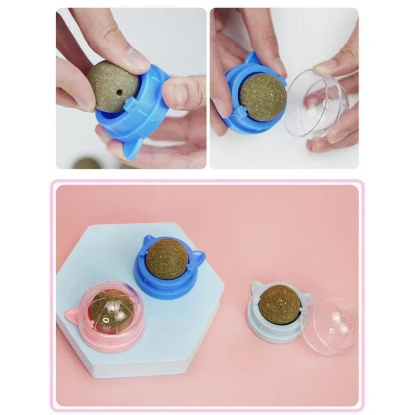PURRFECT CATNIP TOY - toy with catnip for dental care & playtime fun