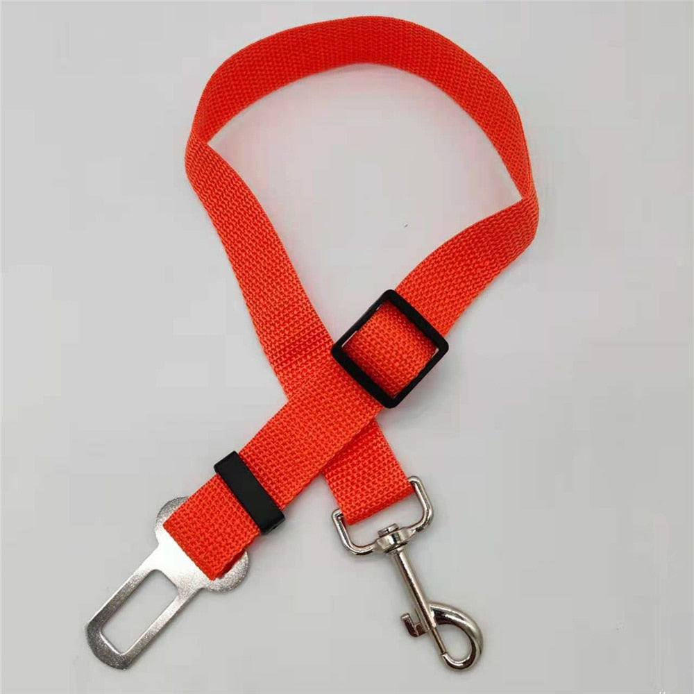 Variant image for Orange