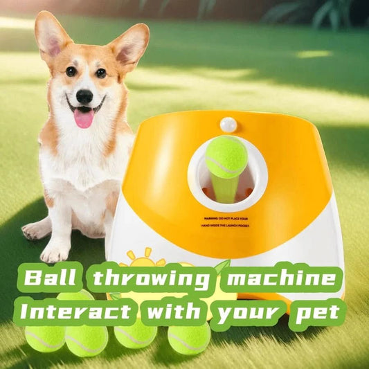 PlayFetch Automatic Ball Thrower - Rechargeable dog toy