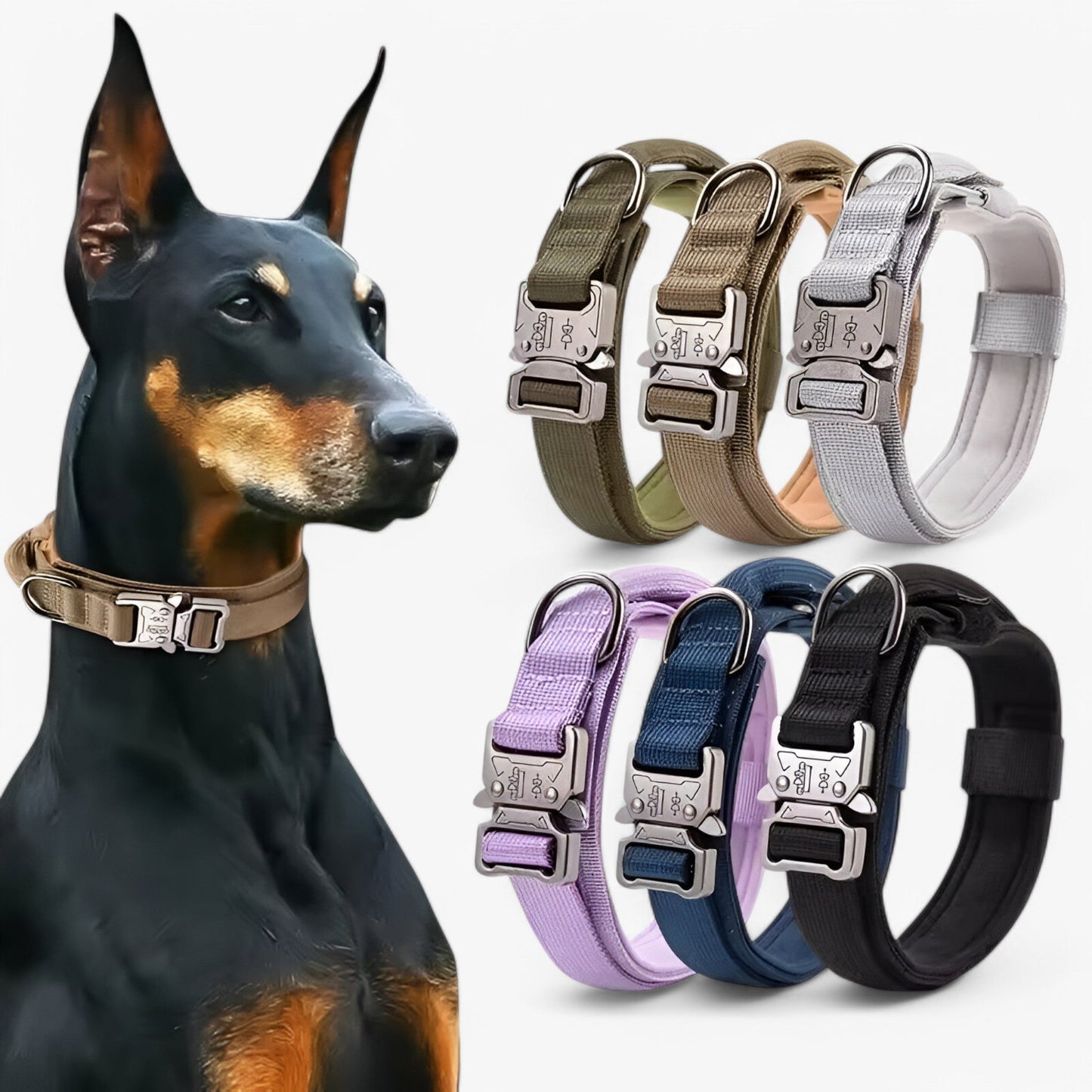 Taktisches Hundehalsband Set – Langlebig, Komfortabel & Sicher für Aktive Hunde-2