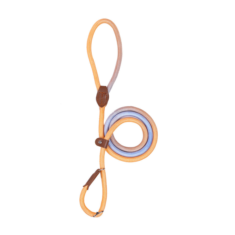 COLORLEASH – Kleurrijke hondenriem voor stijlvolle wandelingen