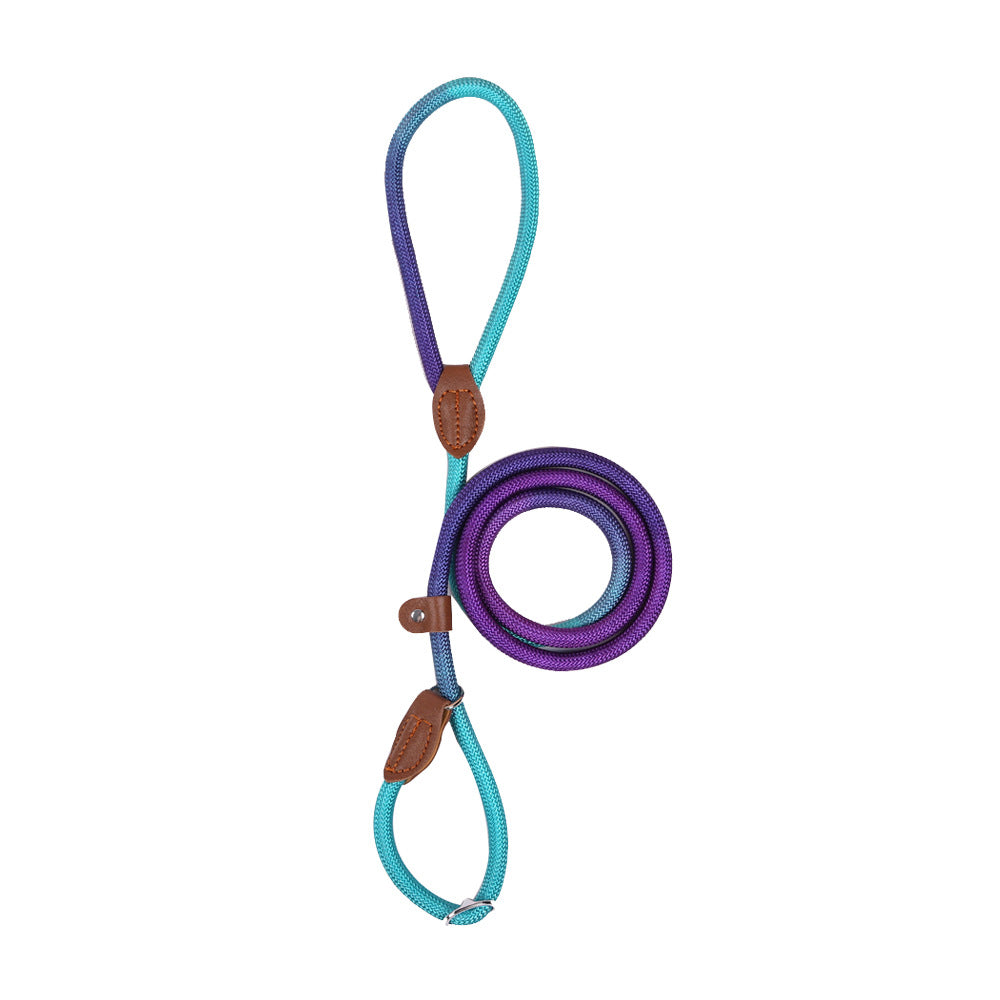 COLORLEASH – Kleurrijke hondenriem voor stijlvolle wandelingen