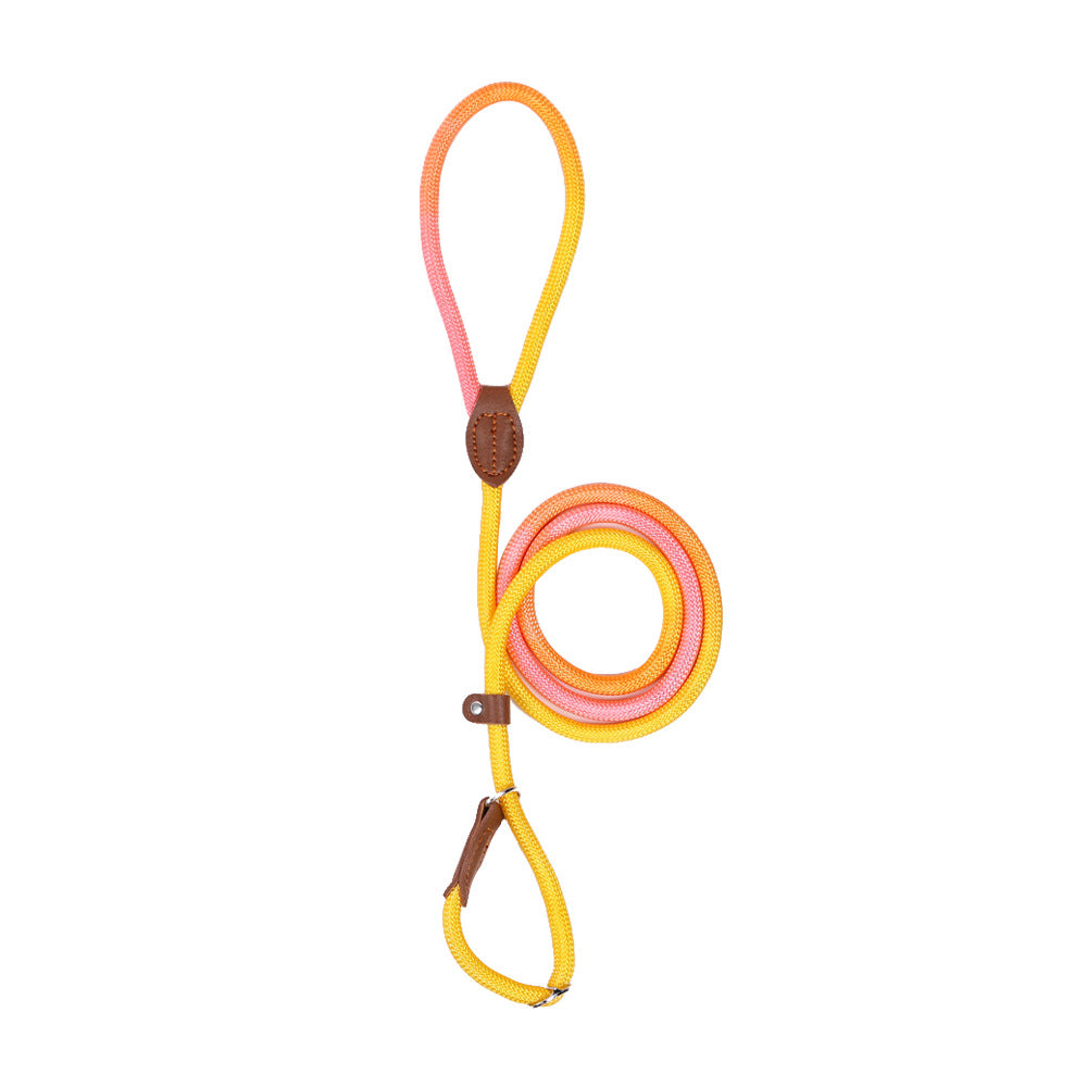 COLORLEASH – Kleurrijke hondenriem voor stijlvolle wandelingen