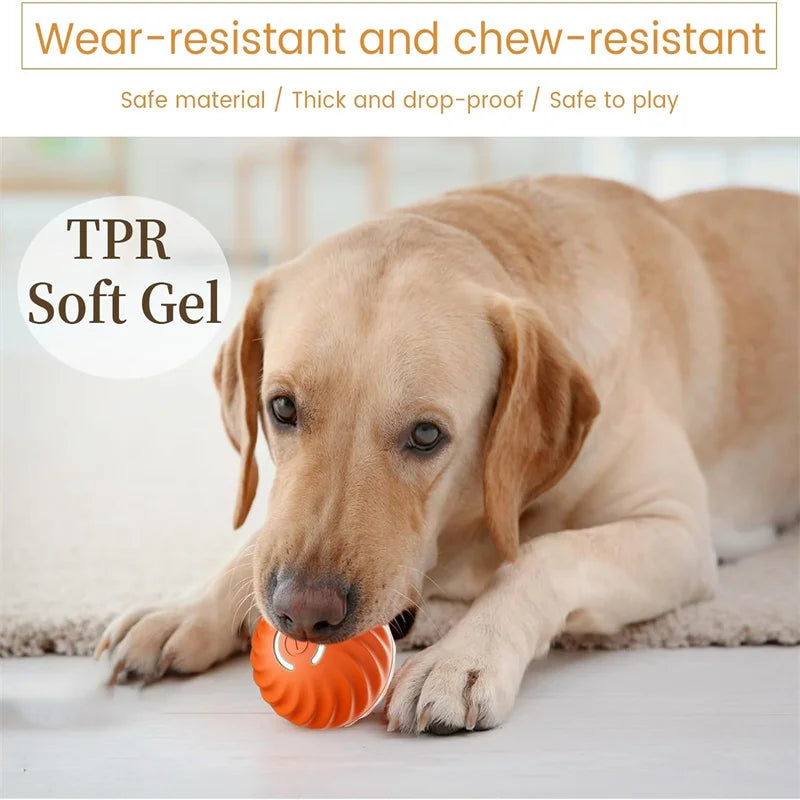 PlayPet Interactive Dog Ball - Rechargeable Bouncing Ball