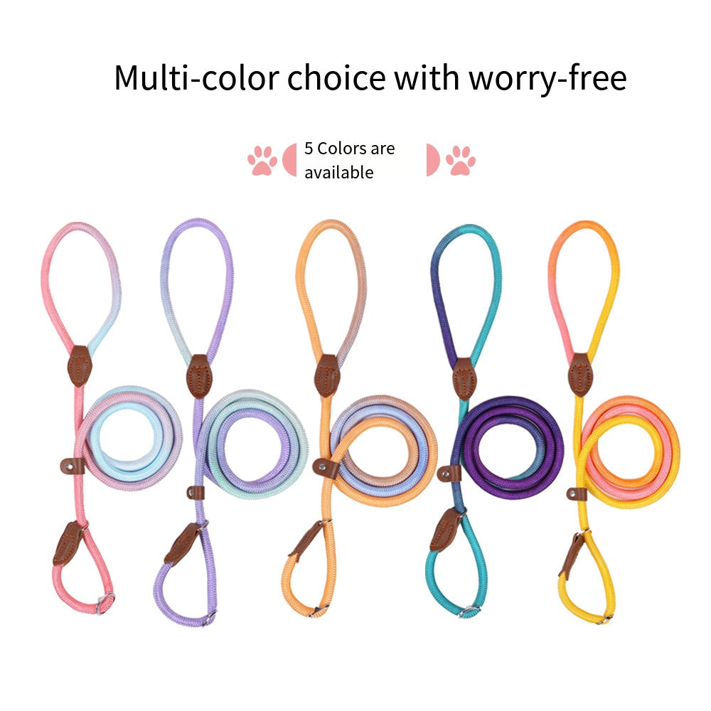 COLORLEASH – Kleurrijke hondenriem voor stijlvolle wandelingen