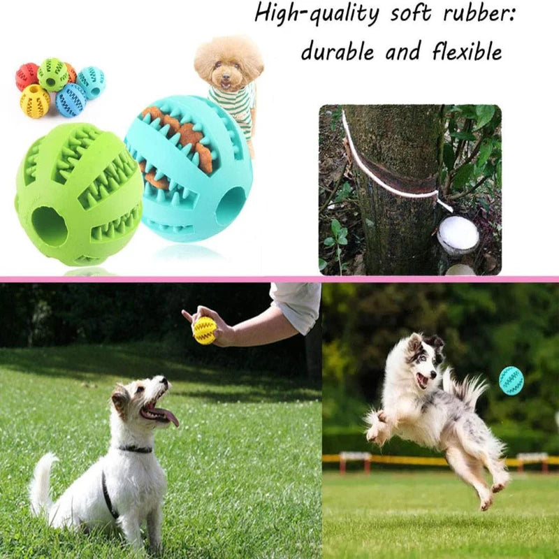 ChewMate interactive treat ball - fun toy for dogs