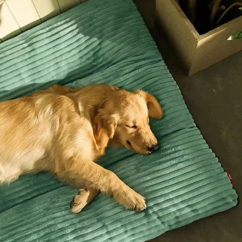 FLAUSCHNEST – Cozy comfort for dogs